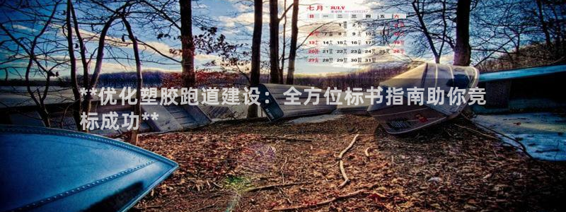 尊龙凯时平台怎么样：**优化塑胶跑道建设：全方位标书指南助你竞
标成功**