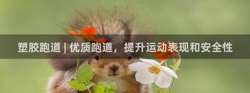 Z6尊龙官网入口：塑胶跑道 | 优质跑道，提升运动表现和安全性