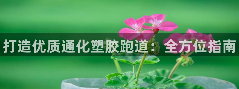 尊龙凯时官网版登录：打造优质通化塑胶跑道：全方位指南