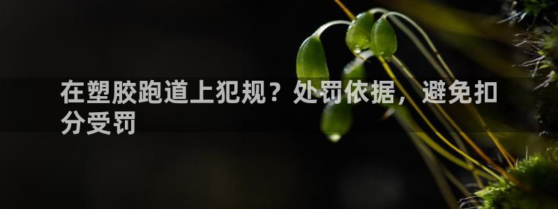 尊龙z6.con：在塑胶跑道上犯规？处罚依据，避免扣