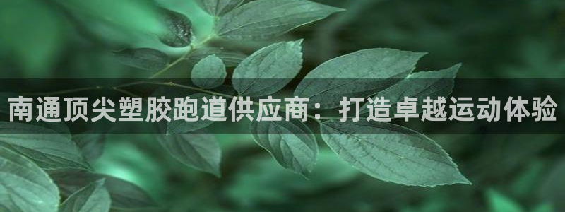 尊龙凯时处理未到账：南通顶尖塑胶跑道供应商：打造卓越运动体验
