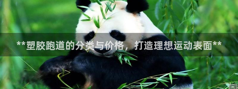 尊龙凯时白家乐Abb下载：**塑胶跑道的分类与价格，