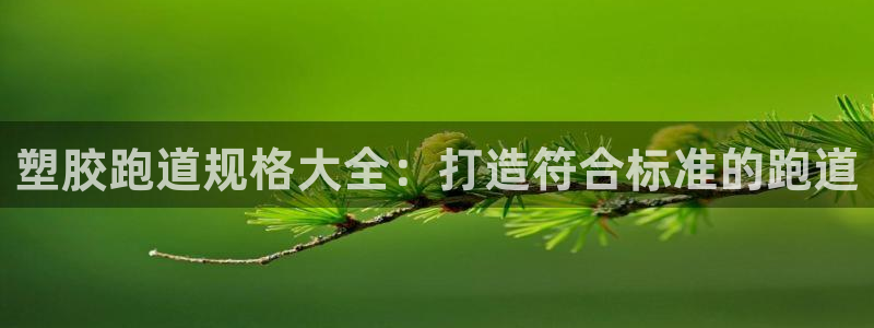 尊龙凯时网页版：塑胶跑道规格大全：打造符合标准的跑道
