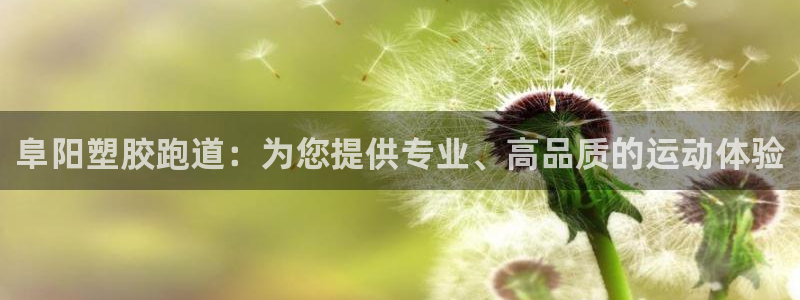 下载尊龙：阜阳塑胶跑道：为您提供专业、高品质的运动体