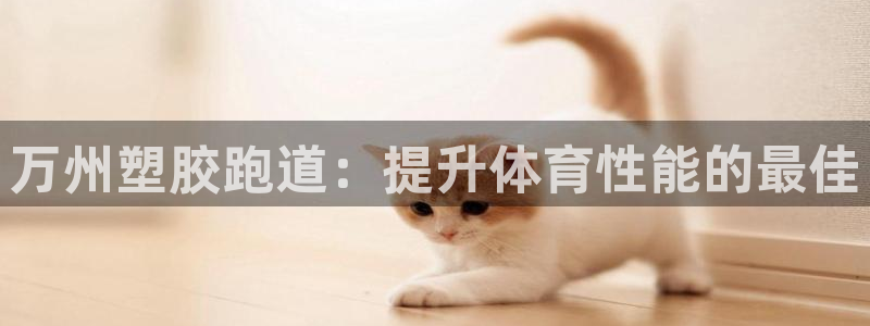 AG尊龙登陆网址：万州塑胶跑道：提升体育性能的最佳
