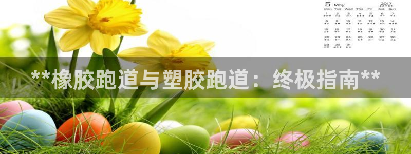 尊龙凯时 人生就是搏首页：**橡胶跑道与塑胶跑道：终极指南**