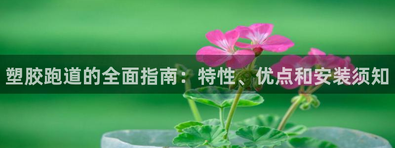 Z6尊龙凯时登录：塑胶跑道的全面指南：特性、优点和安装须知
