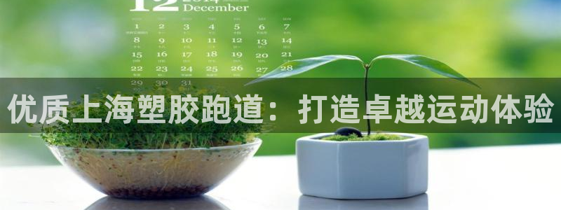尊龙人生就是博送38：优质上海塑胶跑道：打造卓越运动