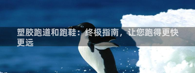 尊龙凯时产品系列：塑胶跑道和跑鞋：终极指南，让您跑得更快
更远