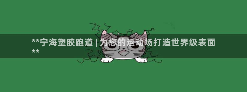 尊龙科技：**宁海塑胶跑道 | 为您的运动场打造世界级表面
**