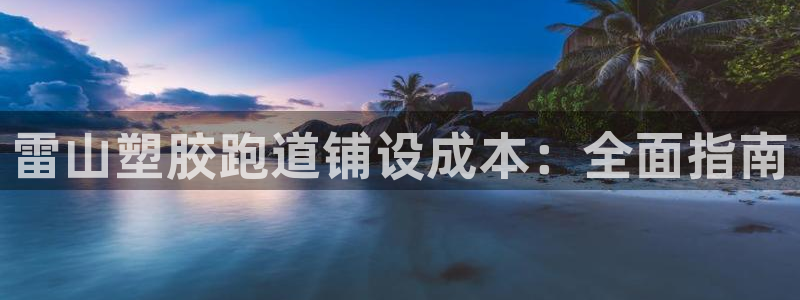 尊龙目前照片：雷山塑胶跑道铺设成本：全面指南