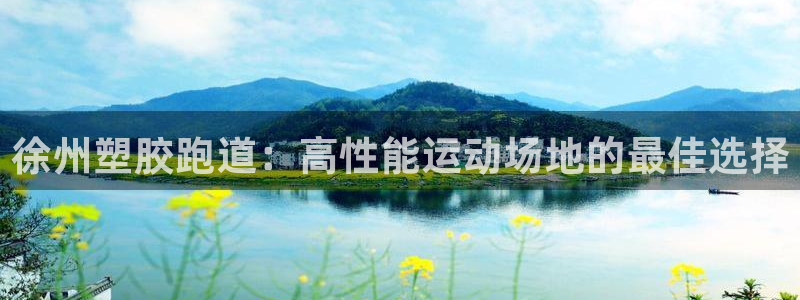 尊龙集团有限公司官网地址：徐州塑胶跑道：高性能运动场