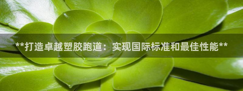 尊龙凯时注册入口：**打造卓越塑胶跑道：实现国际标准和最佳性能**