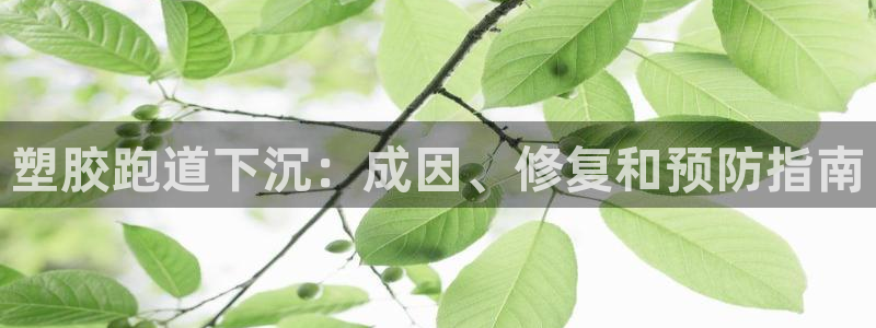 尊龙新版App下载：塑胶跑道下沉：成因、修复和预防指