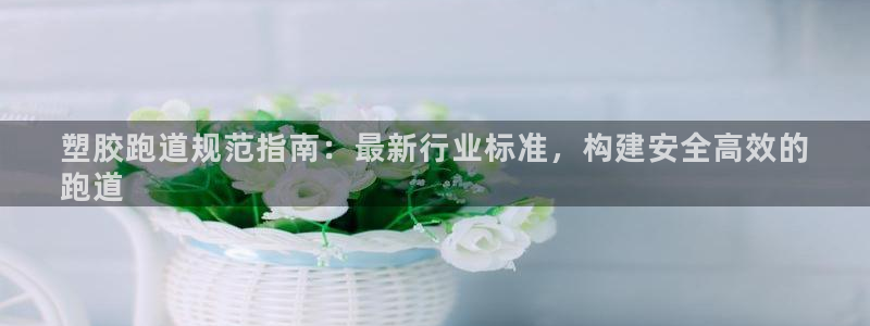 尊龙官方平台：塑胶跑道规范指南：最新行业标准，构建安全高效的
跑道