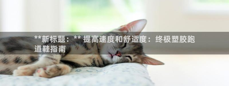 尊龙凯时网站网址：**新标题：** 提高速度和舒适度