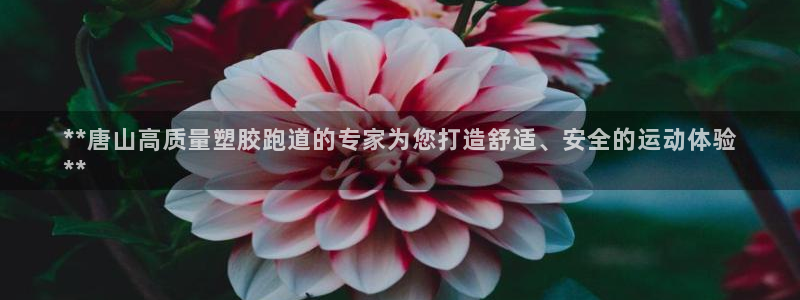 尊龙官网免费下载：**唐山高质量塑胶跑道的专家为您打造舒适、安全的运动体验
**
