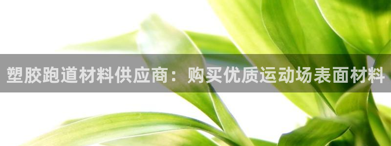 凯时国际官方版：塑胶跑道材料供应商：购买优质运动场表