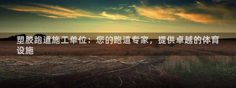 尊龙官网网站：塑胶跑道施工单位：您的跑道专家，提供卓越的体育
设施