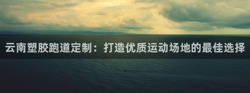 尊龙集团有限公司官网地址：云南塑胶跑道定制：打造优质运动场地的最佳选择