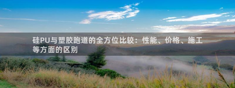 凯时登录：硅PU与塑胶跑道的全方位比较：性能、价格、施工
等方面的区别