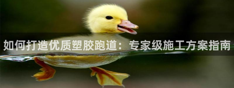 尊龙t300和t400哪个好：如何打造优质塑胶跑道：