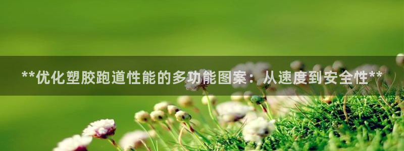 尊龙网站注册站注册：**优化塑胶跑道性能的多功能图案