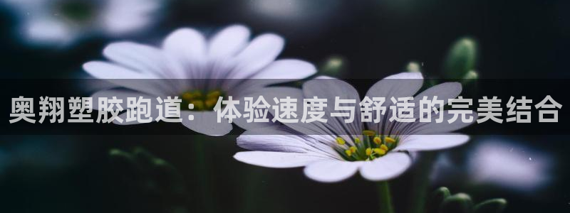 下载尊龙app：奥翔塑胶跑道：体验速度与舒适的完美结