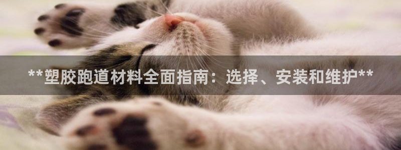 尊龙凯时人生就是博·(中国)：**塑胶跑道材料全面指