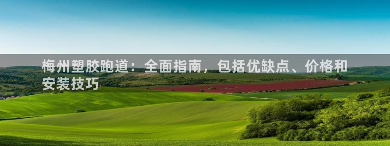 ag旗舰平台尊龙代言：梅州塑胶跑道：全面指南，包括优