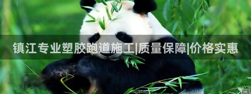 尊龙凯时人生就是搏客户：镇江专业塑胶跑道施工|质量保