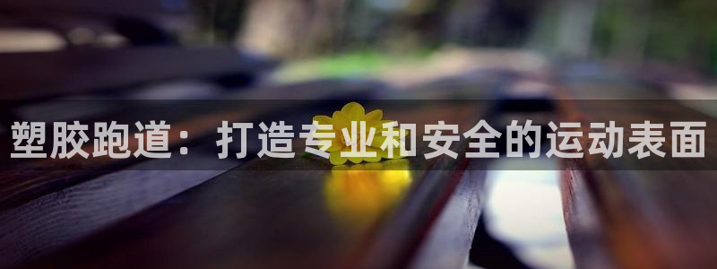 尊龙用现金一下可靠送38元：塑胶跑道：打造专业和安全的运动表面