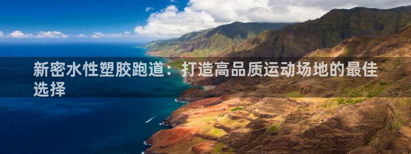 Ag尊龙平台：新密水性塑胶跑道：打造高品质运动场地的最佳
选择