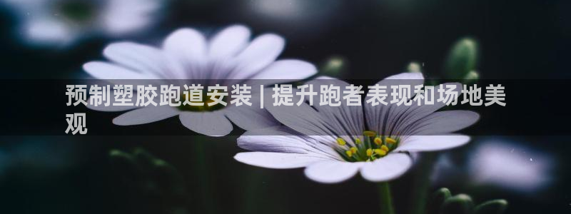 尊龙最经典的三个角色：预制塑胶跑道安装 | 提升跑者表现和场地美
观