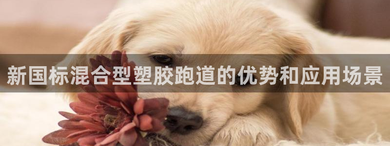 尊龙凯时 - 人生就是搏有假吗：新国标混合型塑胶跑道的优势和应用场景