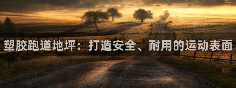 尊龙新版登录网址下载：塑胶跑道地坪：打造安全、耐用的