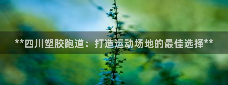 尊龙体育正规么：**四川塑胶跑道：打造运动场地的最佳