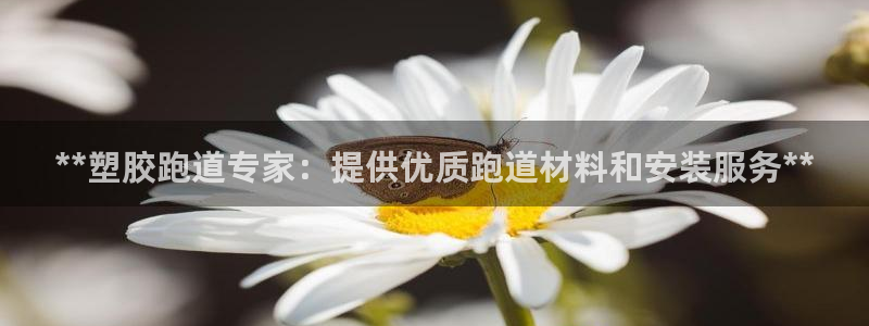 尊龙在线登录官网：**塑胶跑道专家：提供优质跑道材料