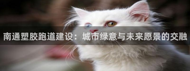 凯时官网的售后服务