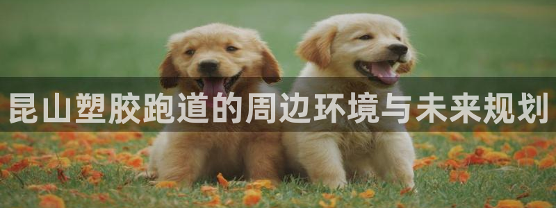 尊龙-人生就是博!