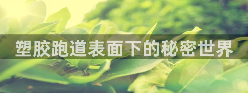 尊龙目前情况