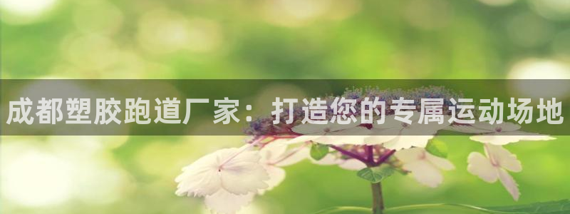 尊龙凯时
