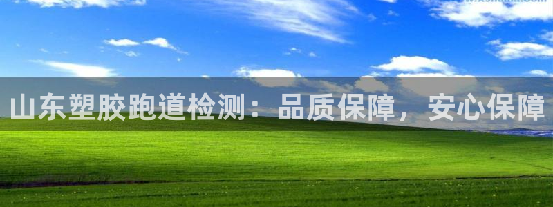 尊龙现在：山东塑胶跑道检测：品质保障，安心保障