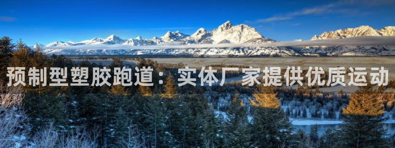 尊龙人生就是博下载：预制型塑胶跑道：实体厂家提供优质运动