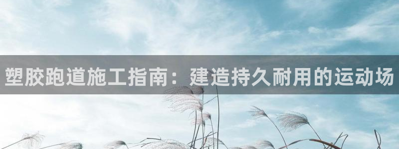 尊龙贴吧：塑胶跑道施工指南：建造持久耐用的运动场