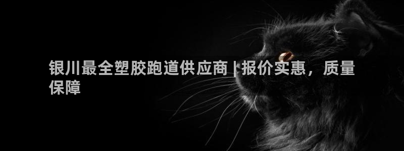 尊龙凯时提不了款：银川最全塑胶跑道供应商 | 报价实惠，质量