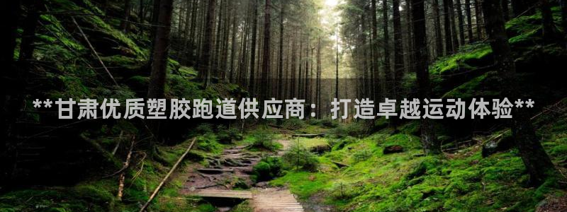 尊龙d88平台：**甘肃优质塑胶跑道供应商：打造卓越运动体验