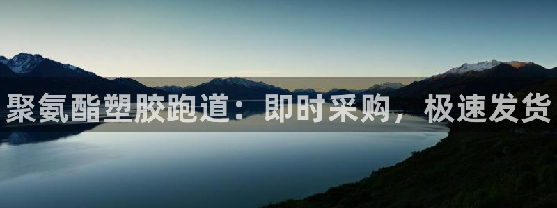 尊龙 5：聚氨酯塑胶跑道：即时采购，极速发货