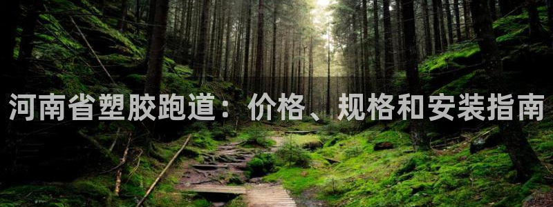 尊龙凯时ag旗舰厅：河南省塑胶跑道：价格、规格和安装指南