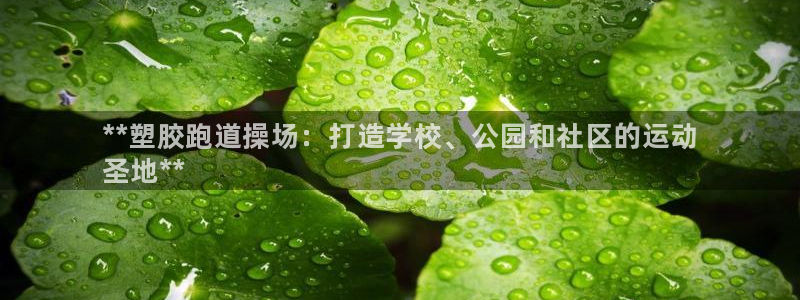 尊龙凯时官网正规吗：**塑胶跑道操场：打造学校、公园和社区的